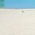 kimolos beaches